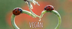 Veganist: 10 voordelen om veganist te worden