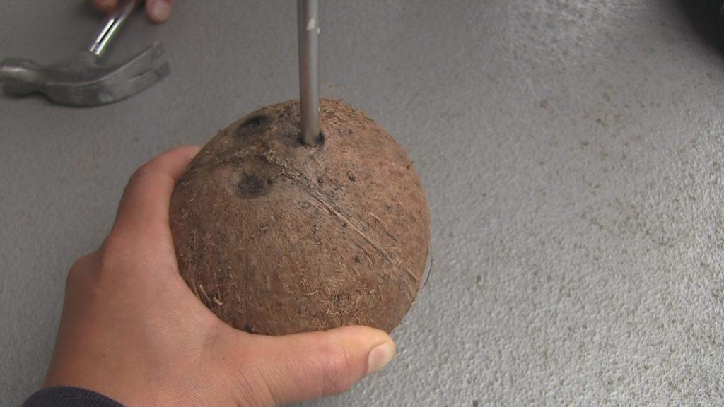 hoe open je een kokosnoot