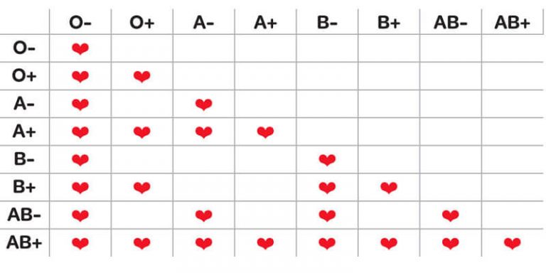 Cacao: ontdek de magische werking van cacao in je lijf | Gezondheidsgoeroe