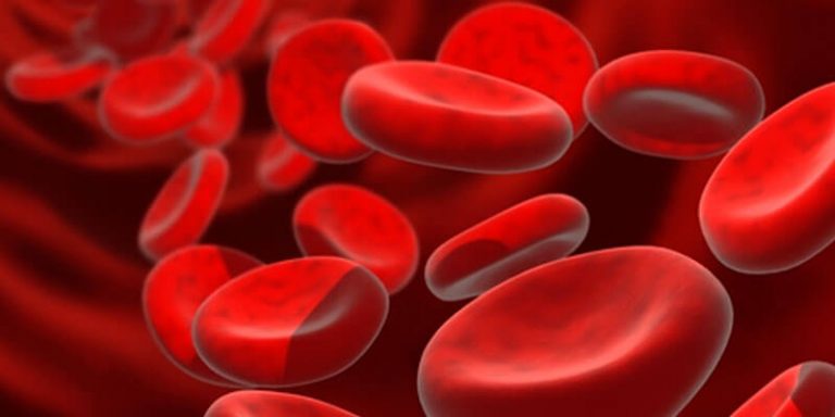 Hoe weet je welke bloedgroep je hebt? | Gezondheidsgoeroe